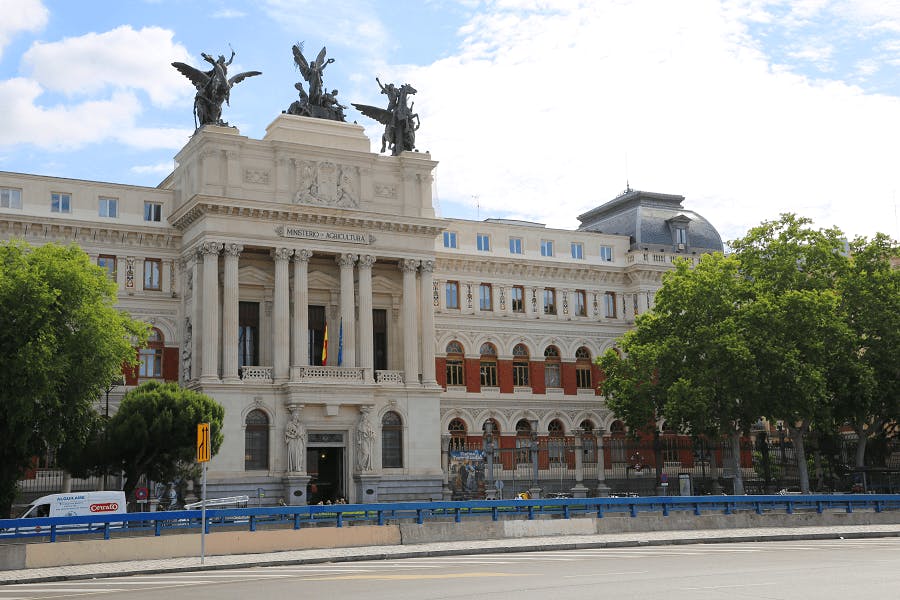 Single room Madrid, 1 bed, 10m² — photo 14