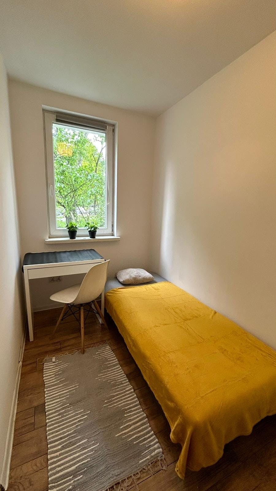 Lwa Tołstoja, Warsaw preview