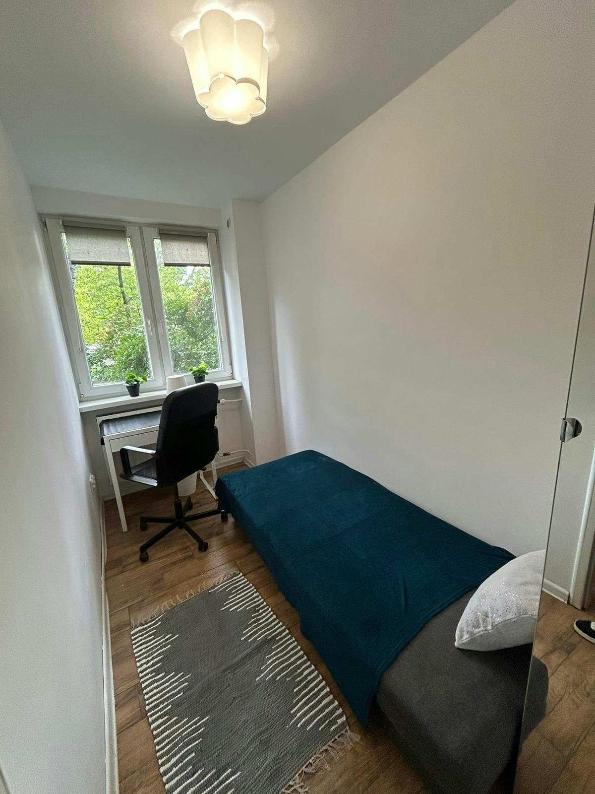 Lwa Tołstoja, Warsaw preview