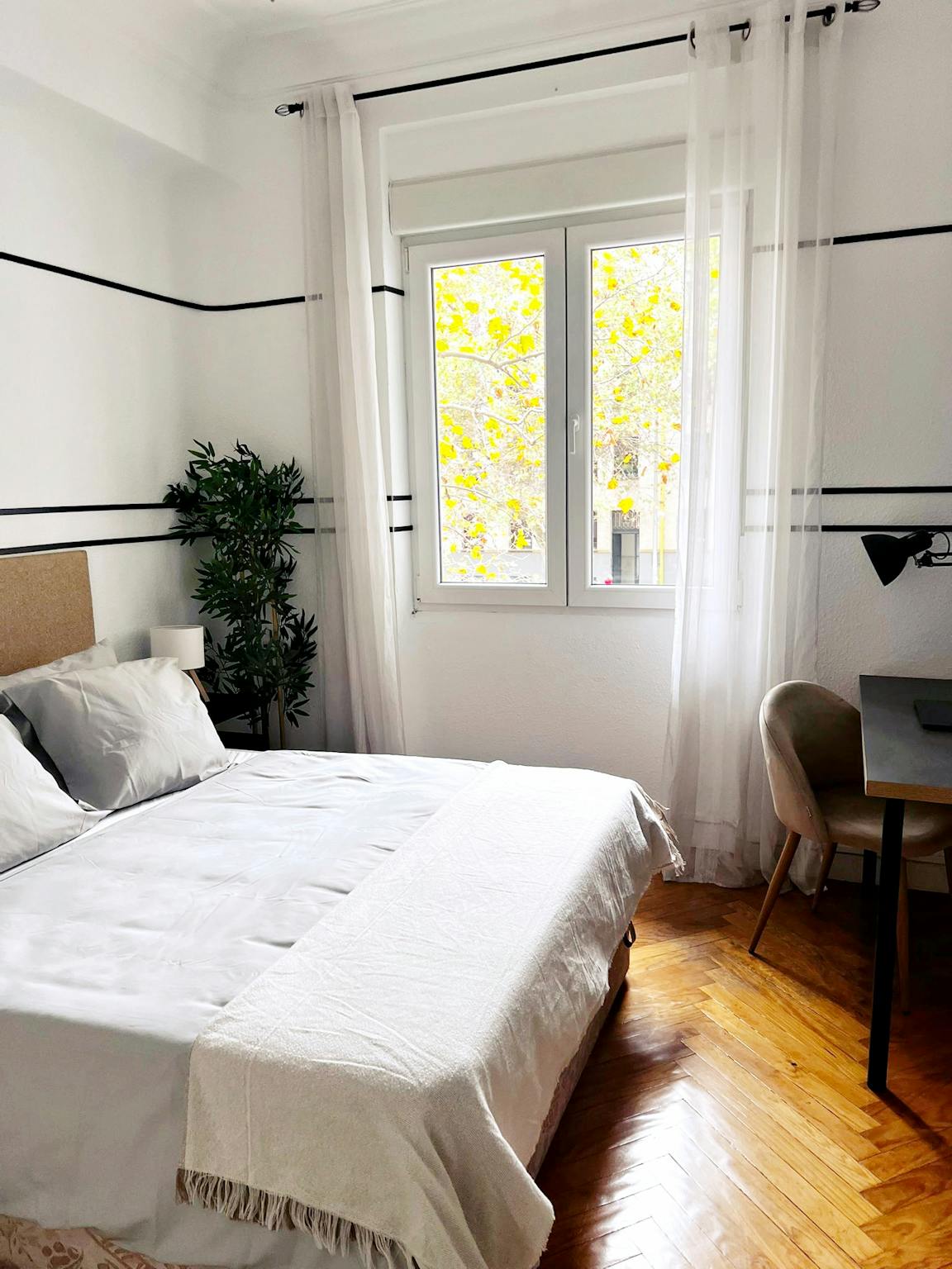 Calle del Doctor Esquerdo, Madrid preview