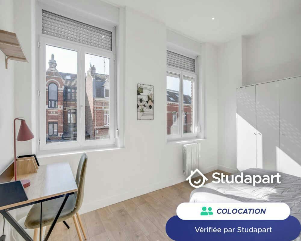Private room for rent on Boulevard Montebello, Lille - Vue 5