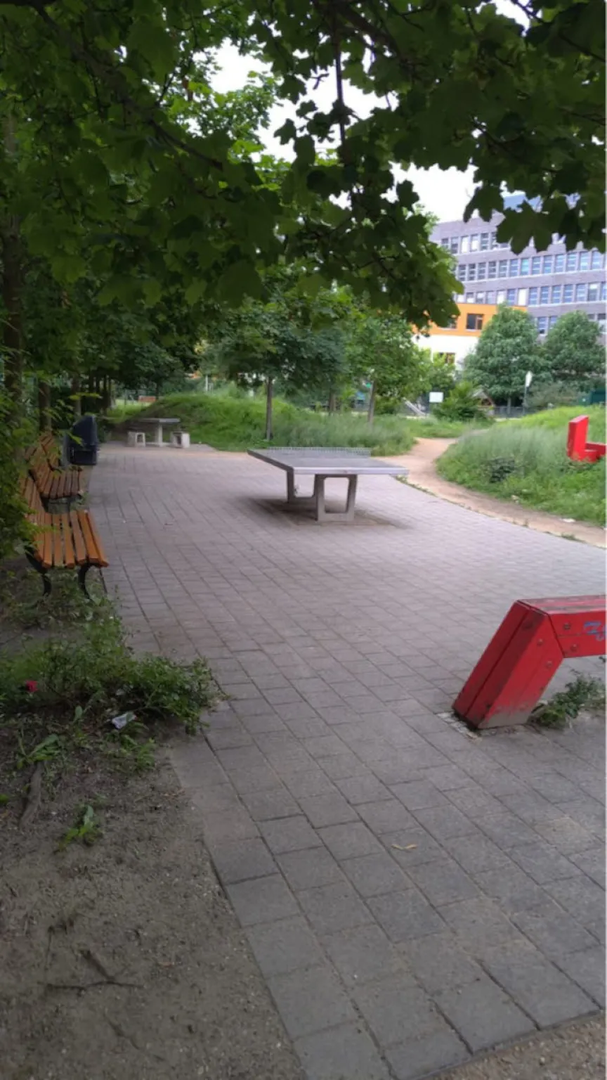 Image #8