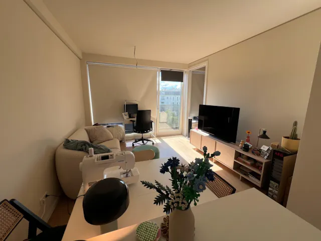 1-Bedroom Apartment in Danziger Straße, Berlin (1671806) room image 1