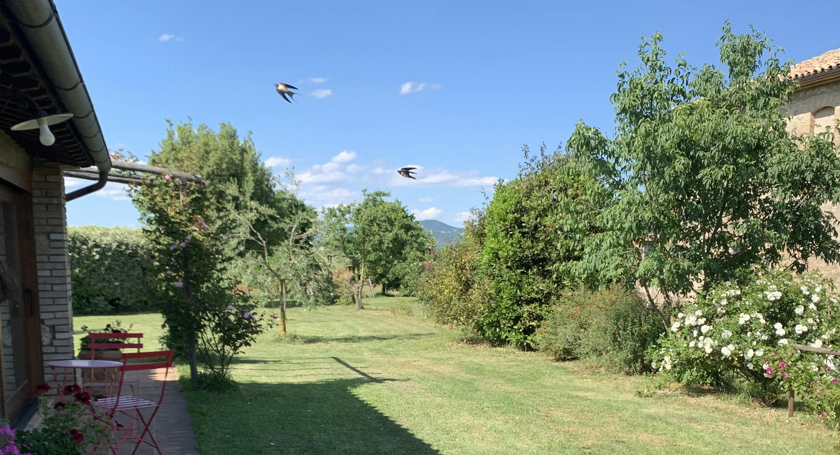 Località Botto, Orvieto preview