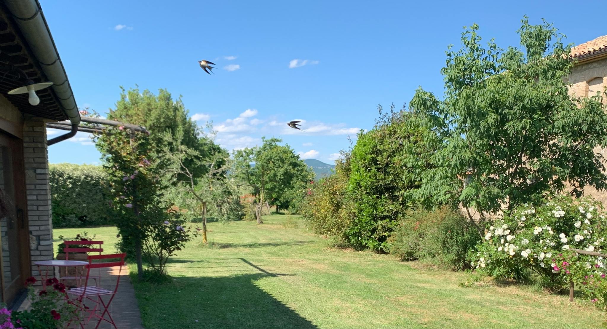 Località Botto, Orvieto preview