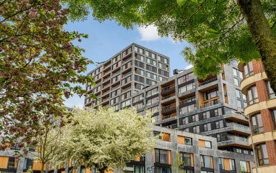 Single room Rotterdam, 1 bed, 20m² — photo 4