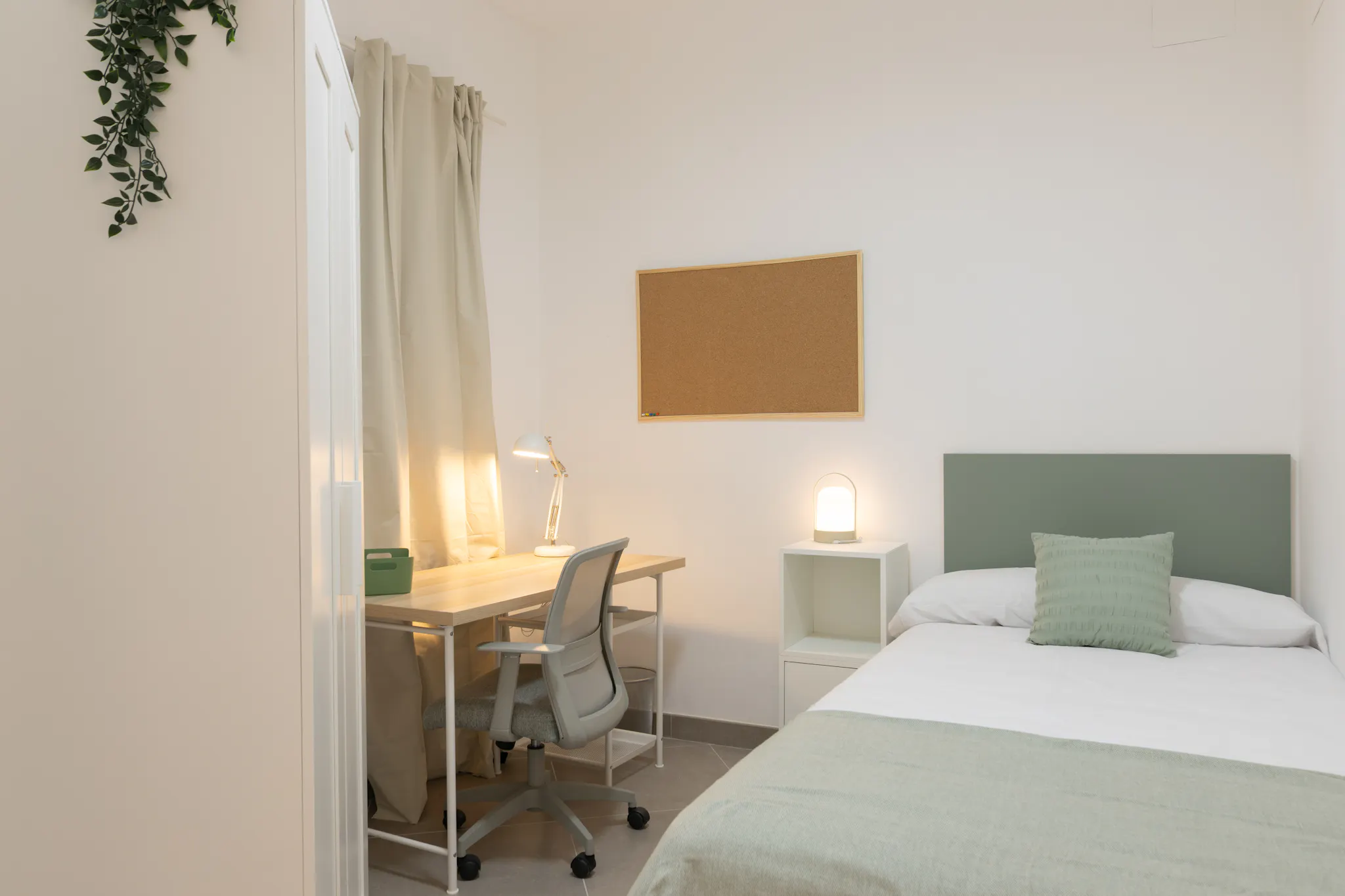 Carrer de Guillem de Castro, Valencia preview