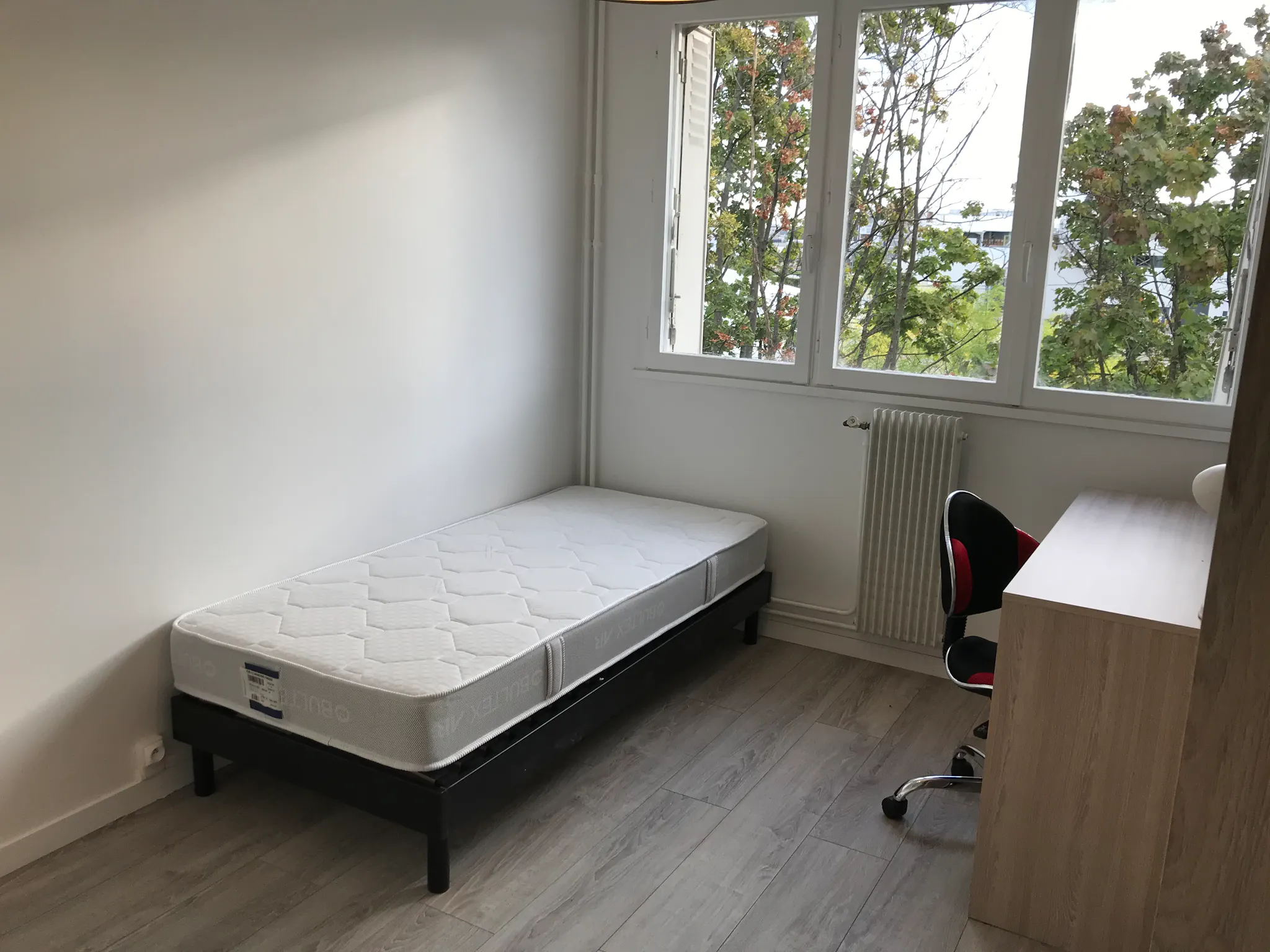 Private room in Avenue du Bel-Air, Villeurbanne (1673503) ROOM 4