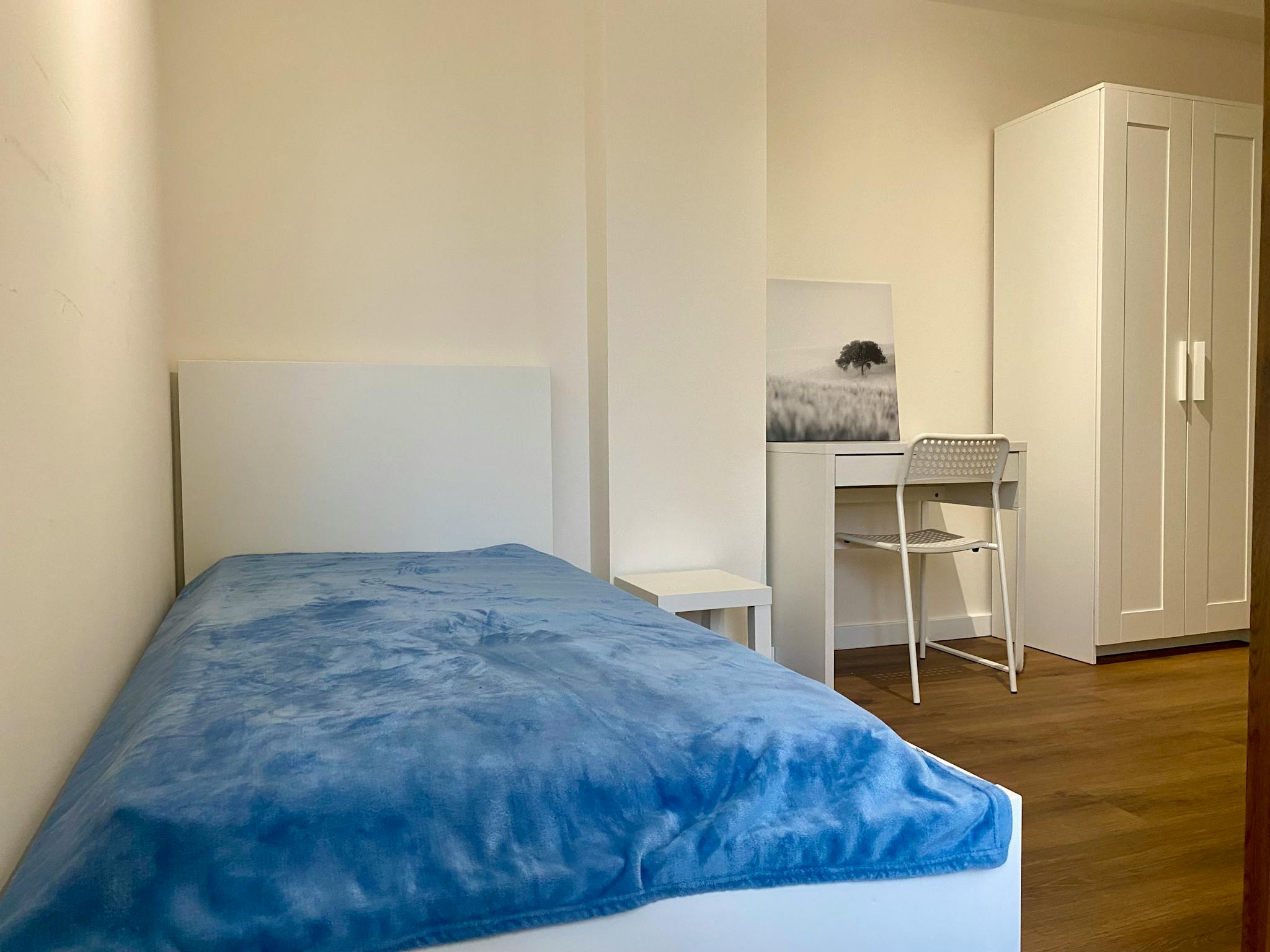 Miedziana, Warsaw preview