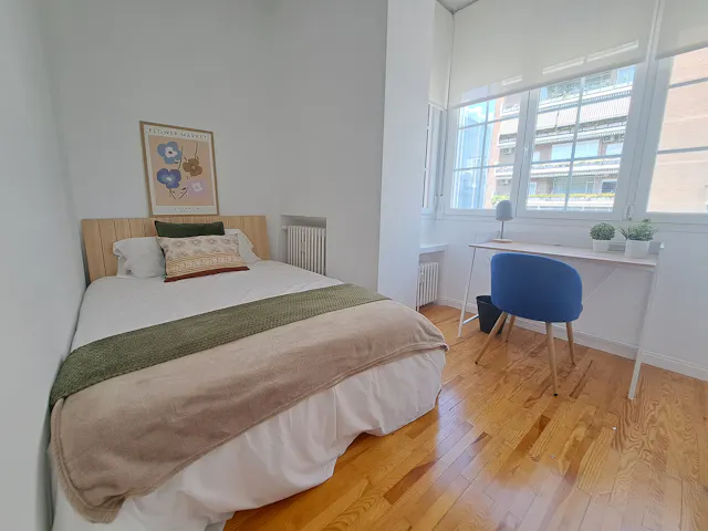 Private room in Paseo de la Castellana, Madrid (1673952) room image 40