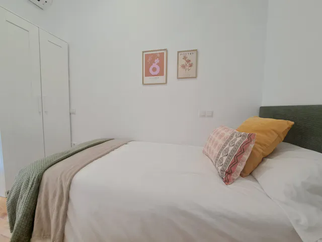 Private room in Paseo de la Castellana, Madrid (1673962) room image 2
