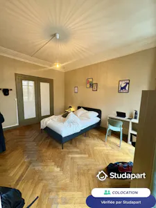 Private room for rent on Avenue Félix Faure, Lyon