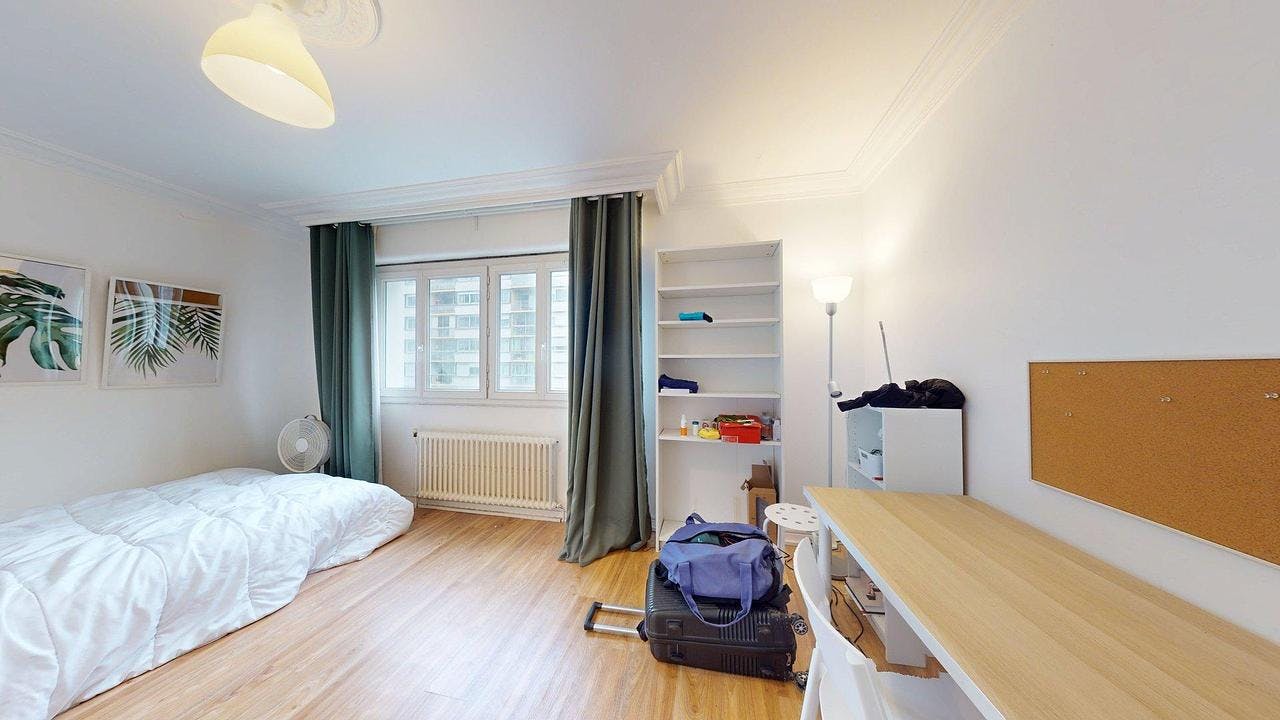 Private room for rent on Avenue Condorcet, Villeurbanne – pohled 4