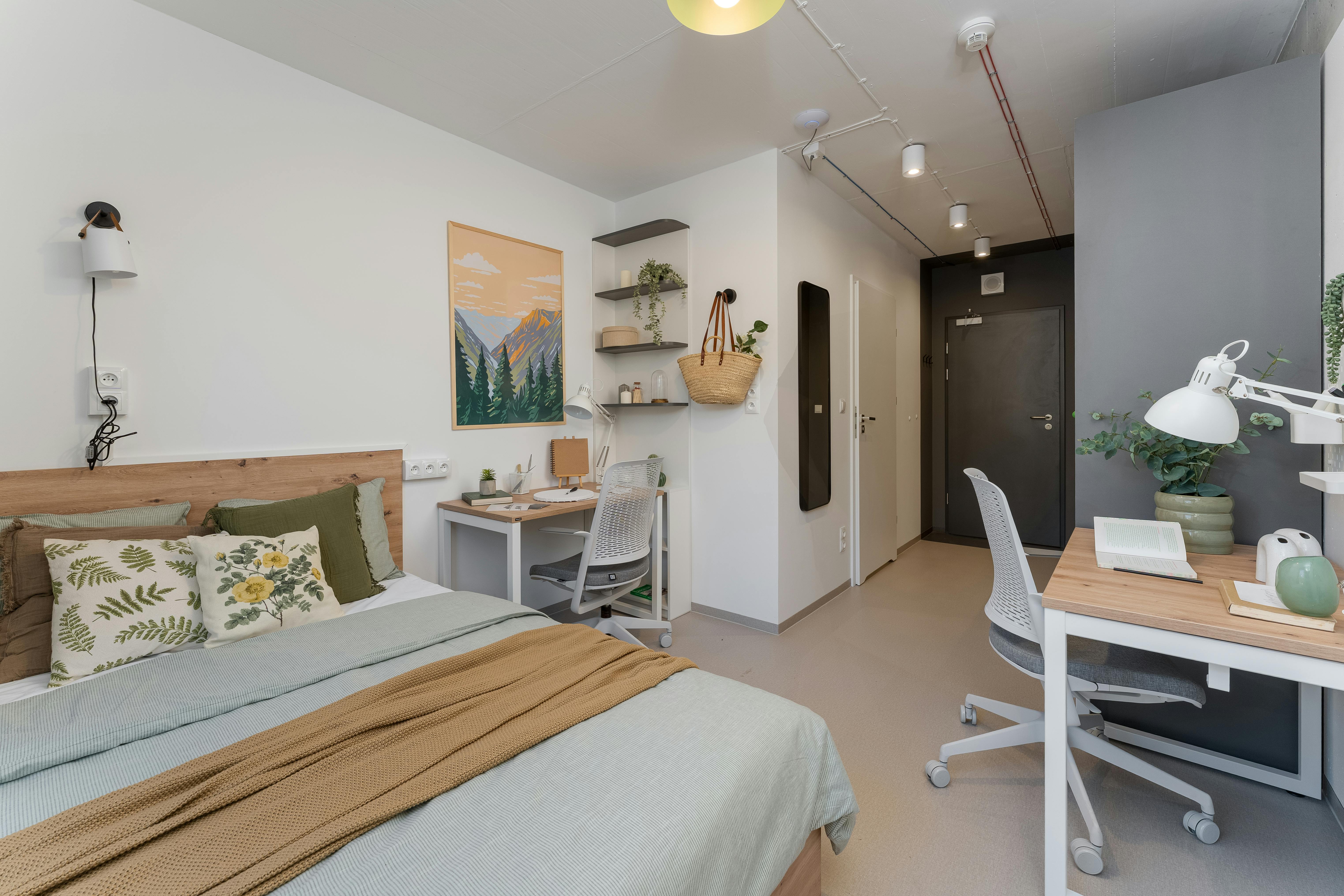 Chambre privée à louer pour 3 000 PLN/mois à Kraków, Wita Stwosza