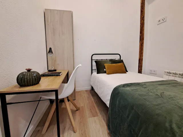 Private room in Calle de la Luna, Madrid (1674355) room image 2