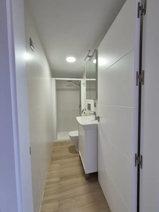 1-Bedroom Apartment in Calle las Espuelas, Málaga (1675058) room image 110