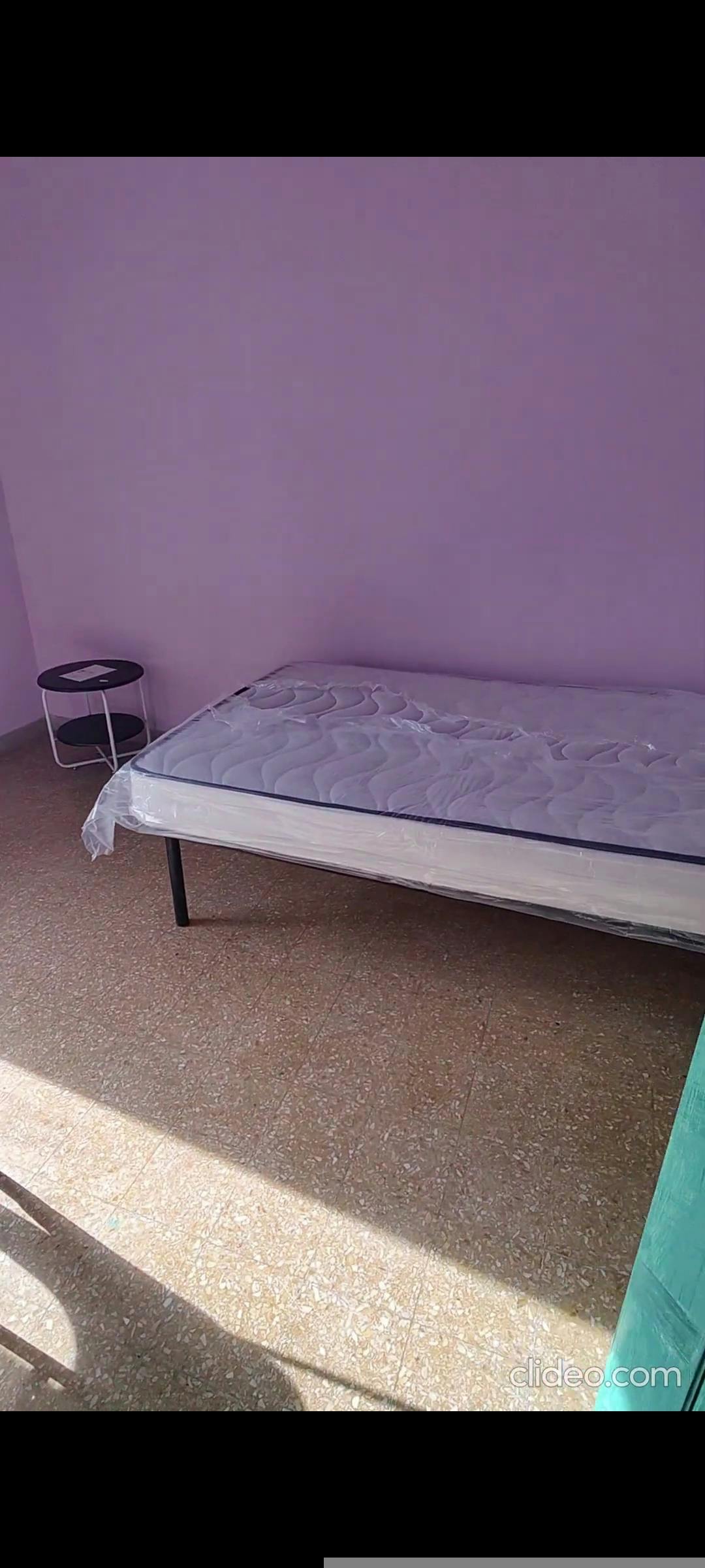 Single room Pisa, 1 bed, 10m² — photo 5