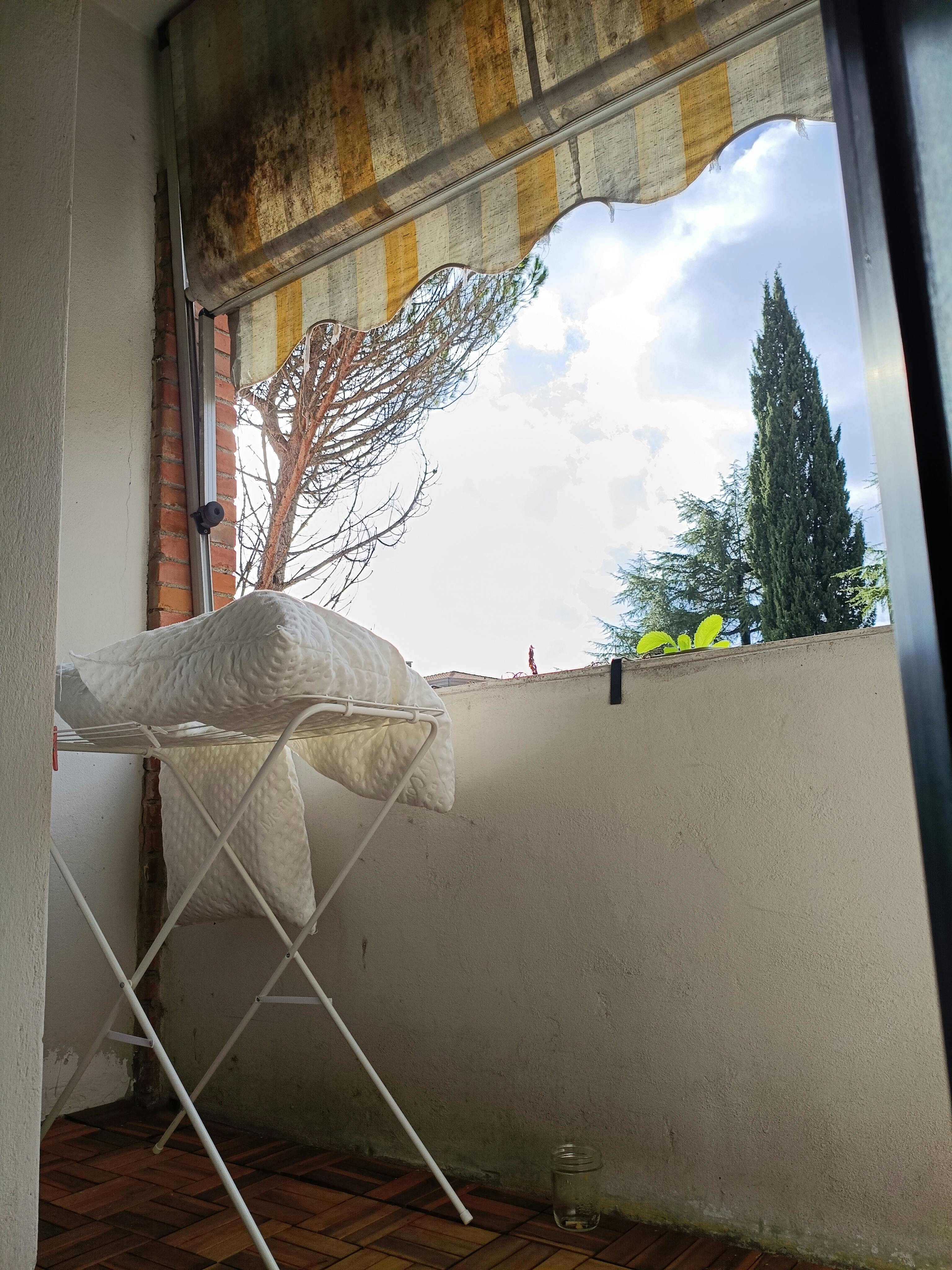 Single room Pisa, 1 bed, 10m² — photo 12