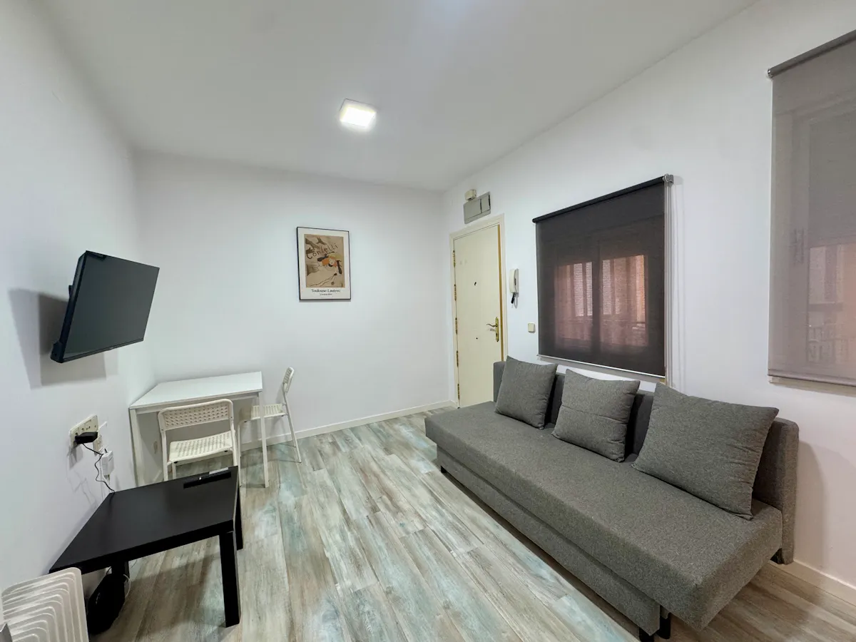 1-Bedroom Apartment in Calle de María de Guzmán, Madrid (1676115) ROOM