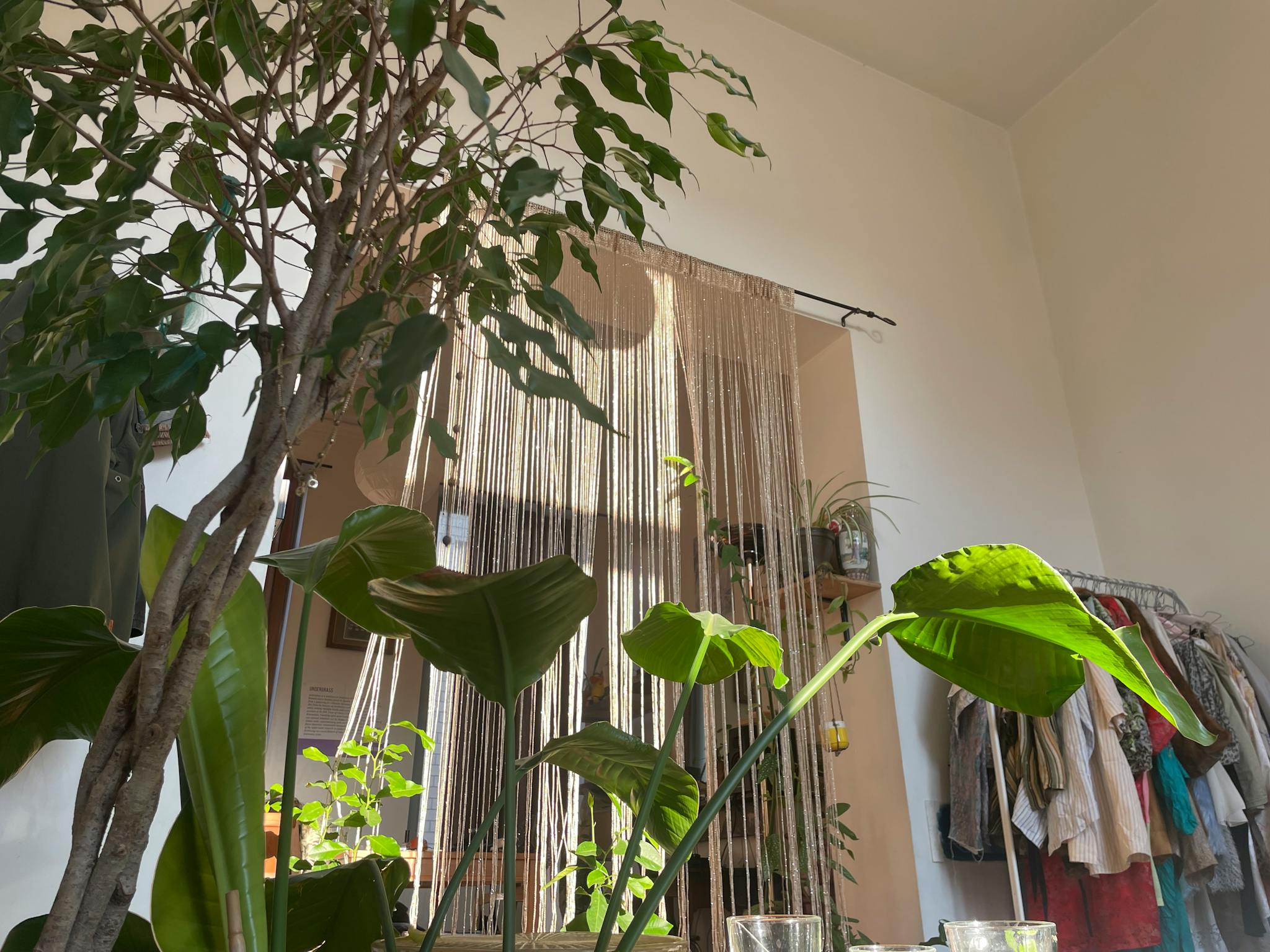 Rue du Lavoir, Brussels preview