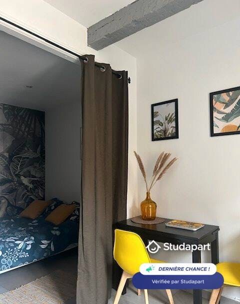 Apartment for rent on Rue du Faubourg Figuerolles, Montpellier