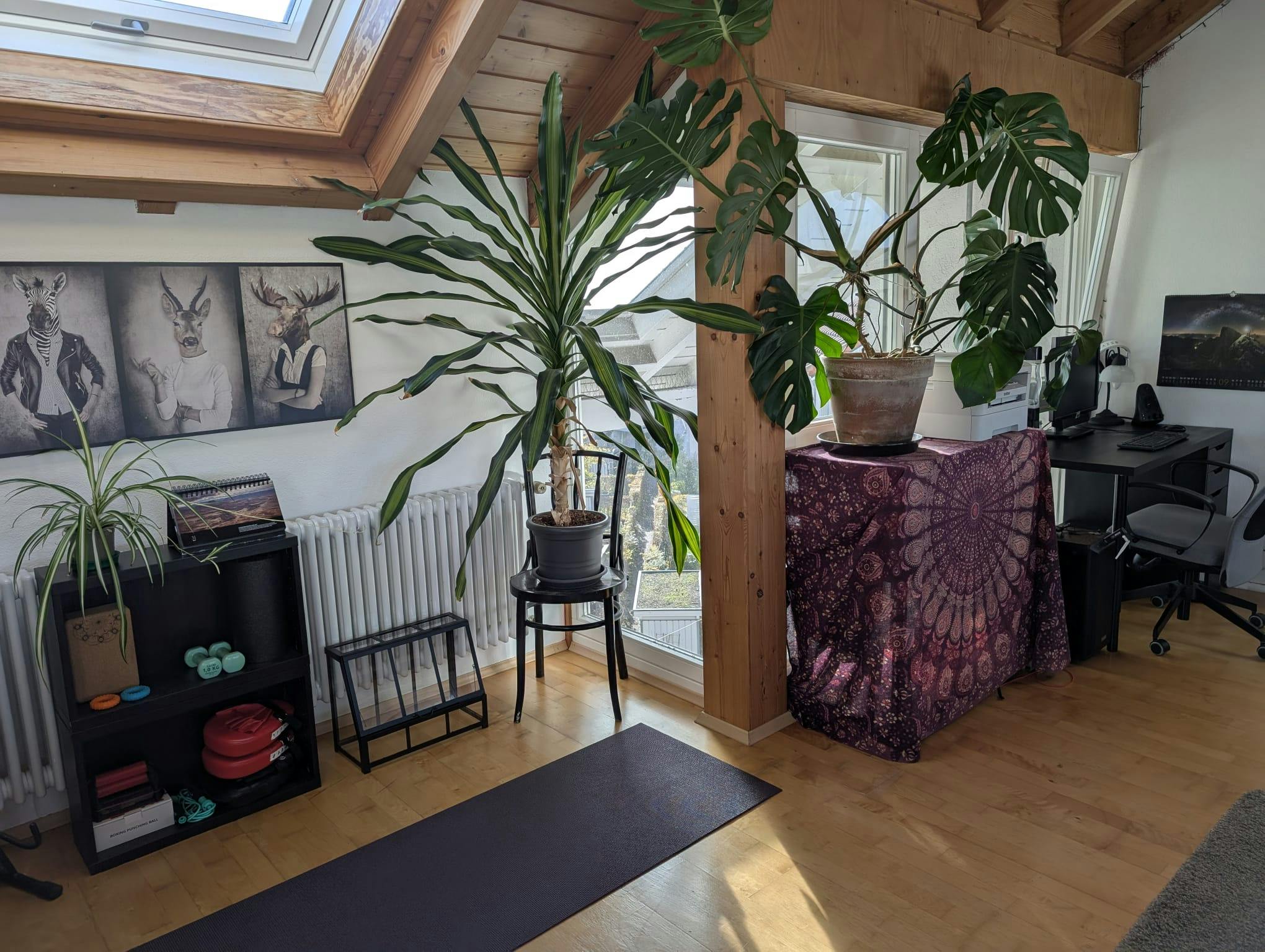 Apartamento en alquiler por 990 € al mes en Backnang, Seefelder Weg