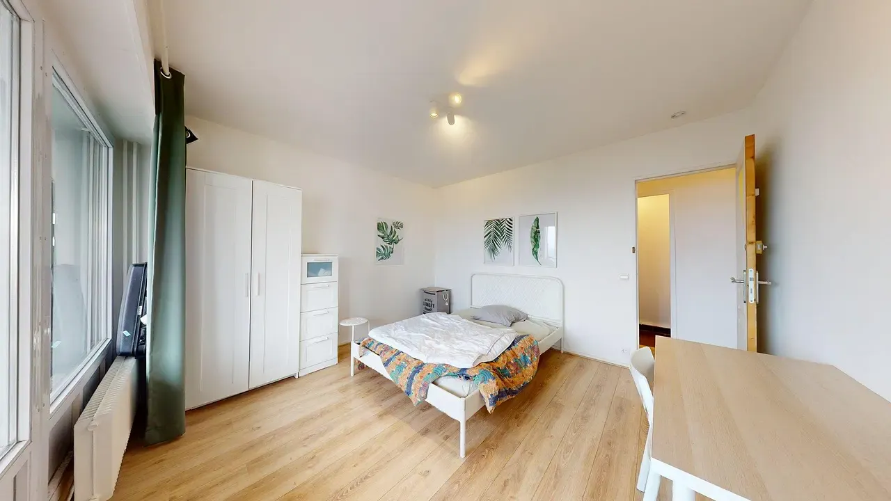 Private room in Rue Professeur Patel, Lyon (1676759) ROOM 2