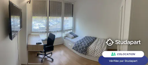 Private room for rent on Square des Tilleuls, Meudon, Meudon