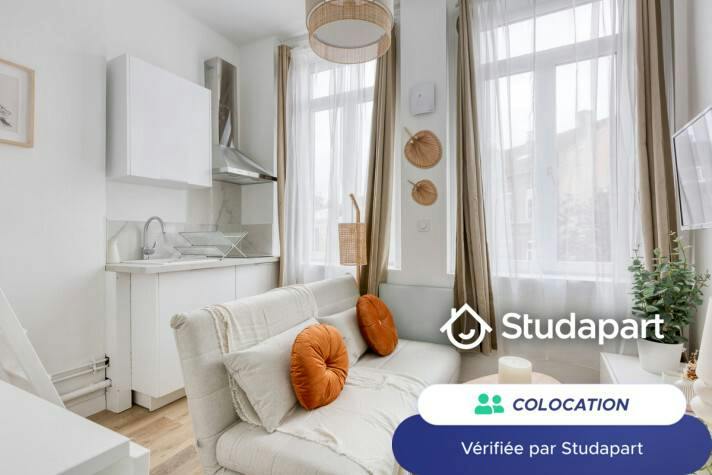 Private room for rent on Rue Barthélémy Delespaul, Lille - Vue 3
