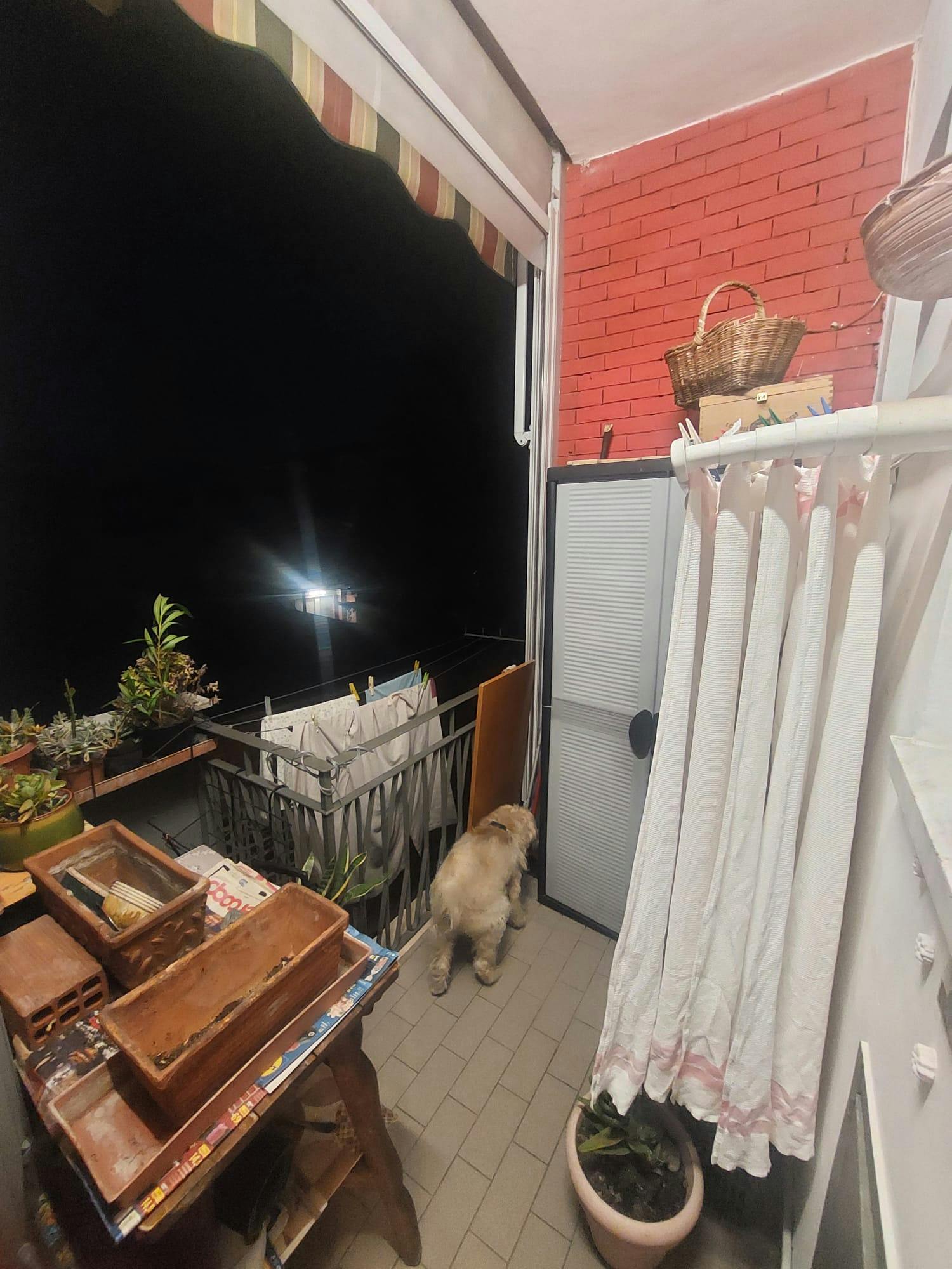 Apartment Turin, 1 bed — photo 7