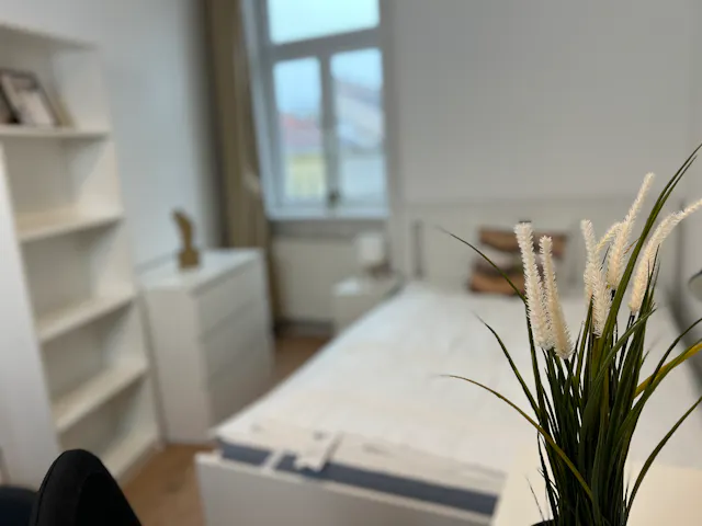 Private room in Reinprechtsdorfer Straße, Vienna (1678335) room image 2