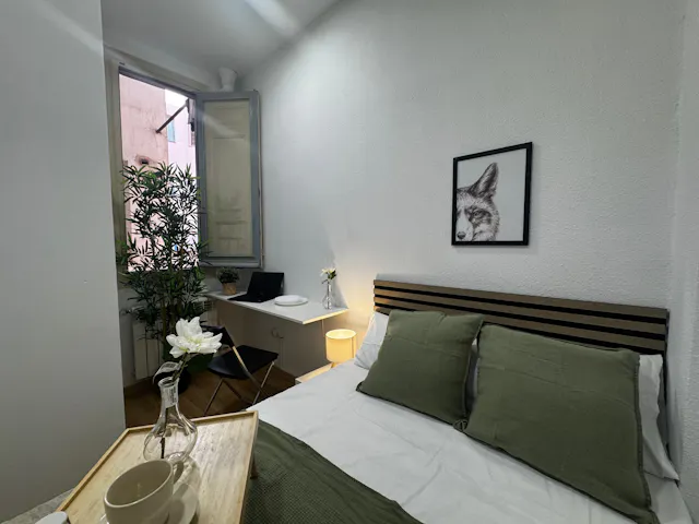 Private room in Calle de Trafalgar, Madrid (1678397) room image 1