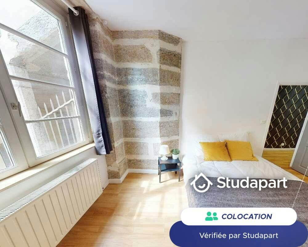 Private room for rent on Rue Saint-Jean, Lyon - Vue 4