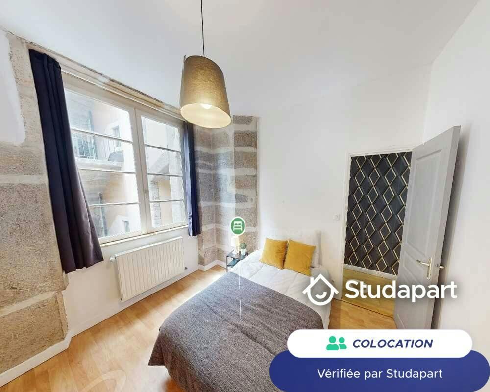 Private room for rent on Rue Saint-Jean, Lyon - Vue 3
