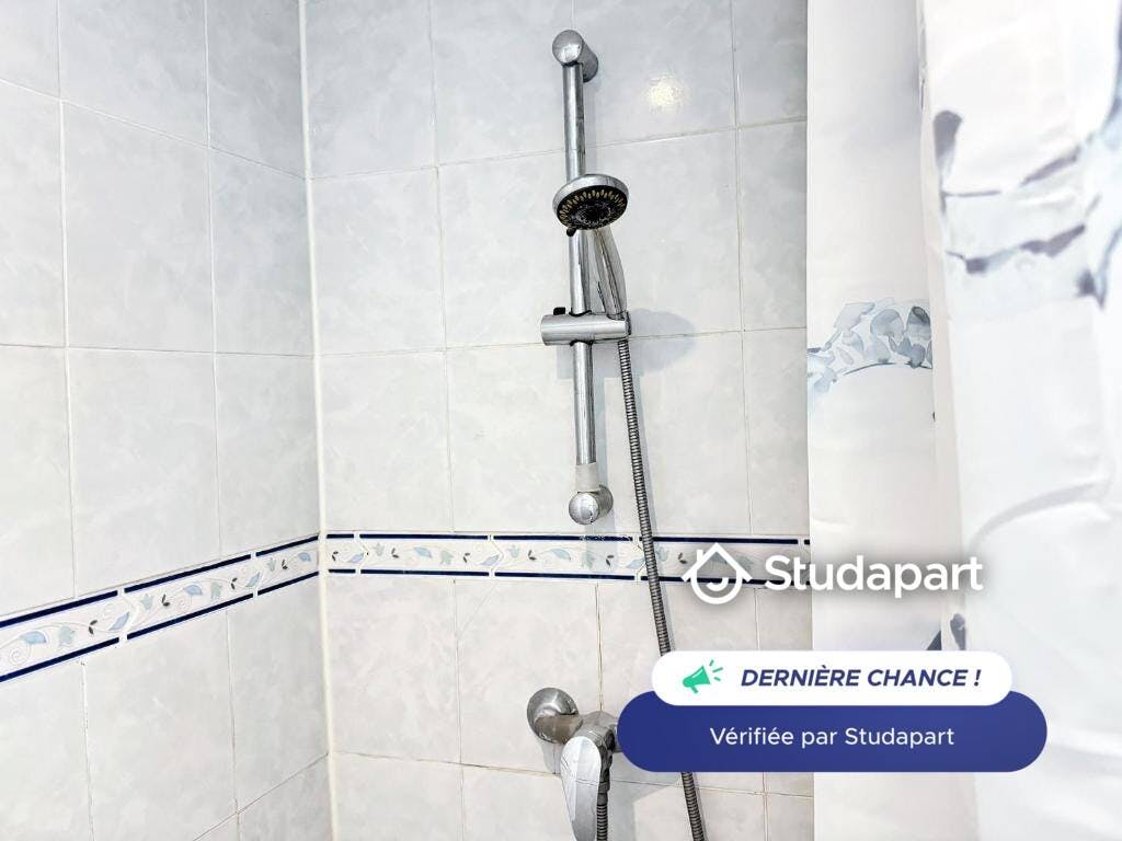 Apartment for rent on Rue de Saint Cyr, Lyon - Widok 3