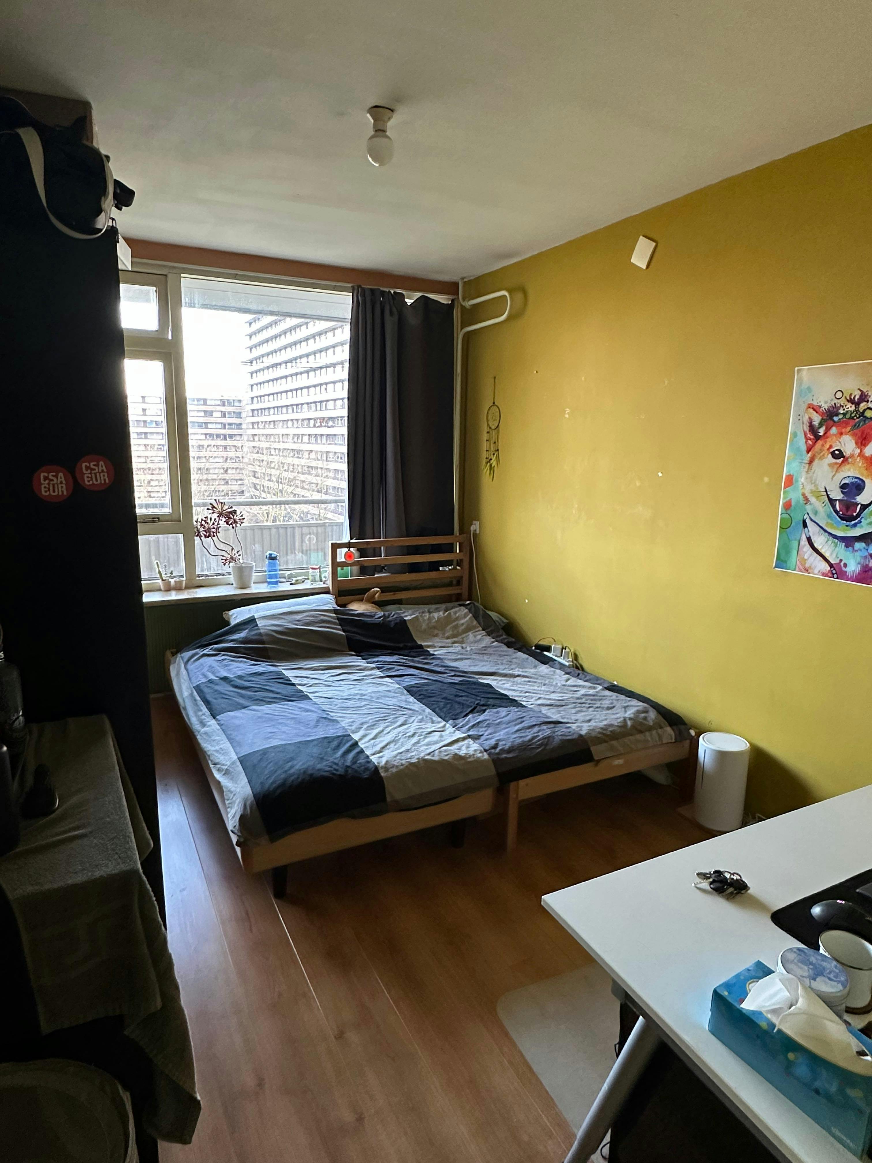 Private room for rent for €600 per month in Delft, Roland Holstlaan