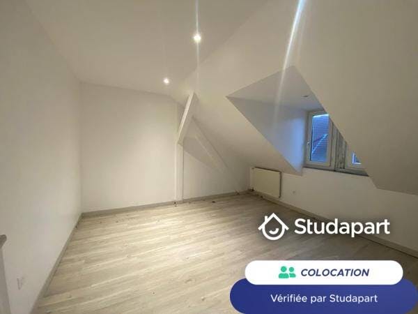 Private room for rent on Rue Sellenick, Strasbourg - View 6