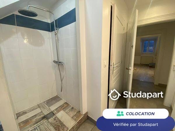 Private room for rent on Rue Sellenick, Strasbourg - View 5
