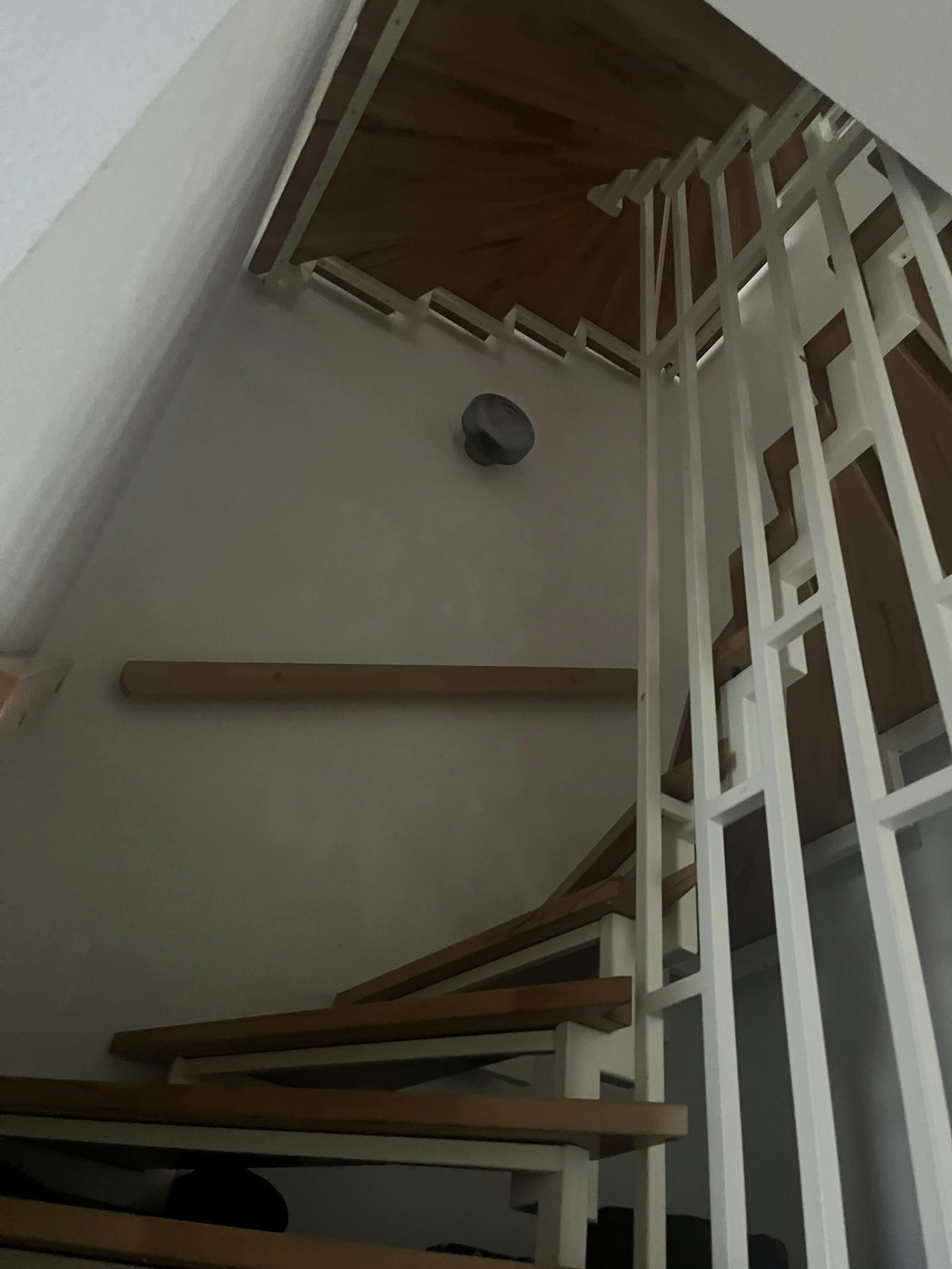 Private room for rent for €600 per month in Potsdam, Taubenbogen