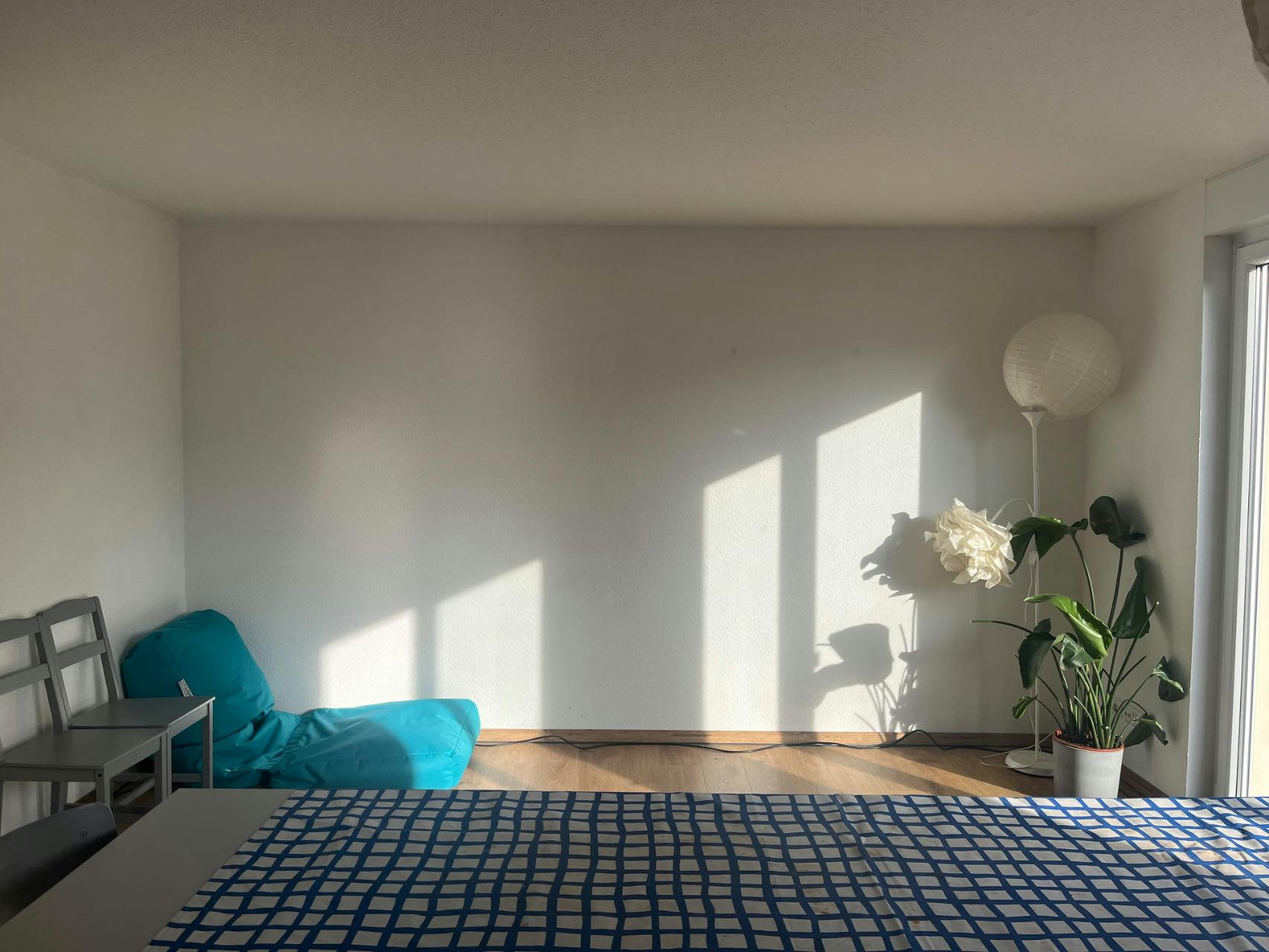 Single room Potsdam, 1 bed, 25m² — photo 5