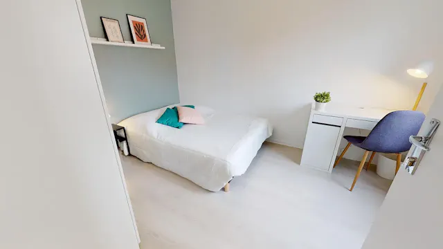 Private room in Rue André Bollier, Lyon (1679660) room image 2