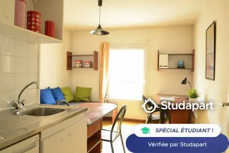 Private room for rent on Rue de la Rize, Lyon, Lyon