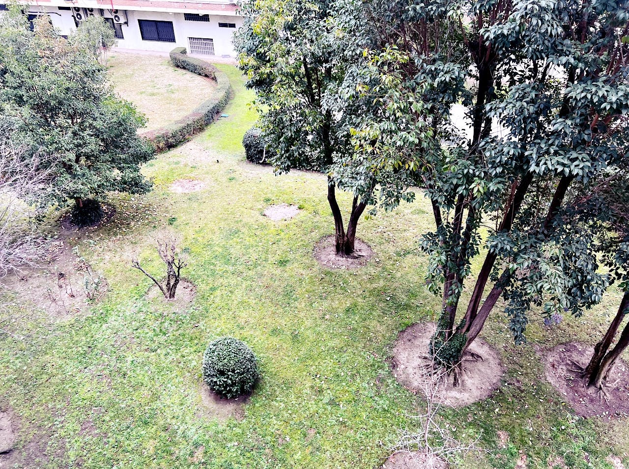 Single room Madrid, 1 bed, 11m² — photo 8