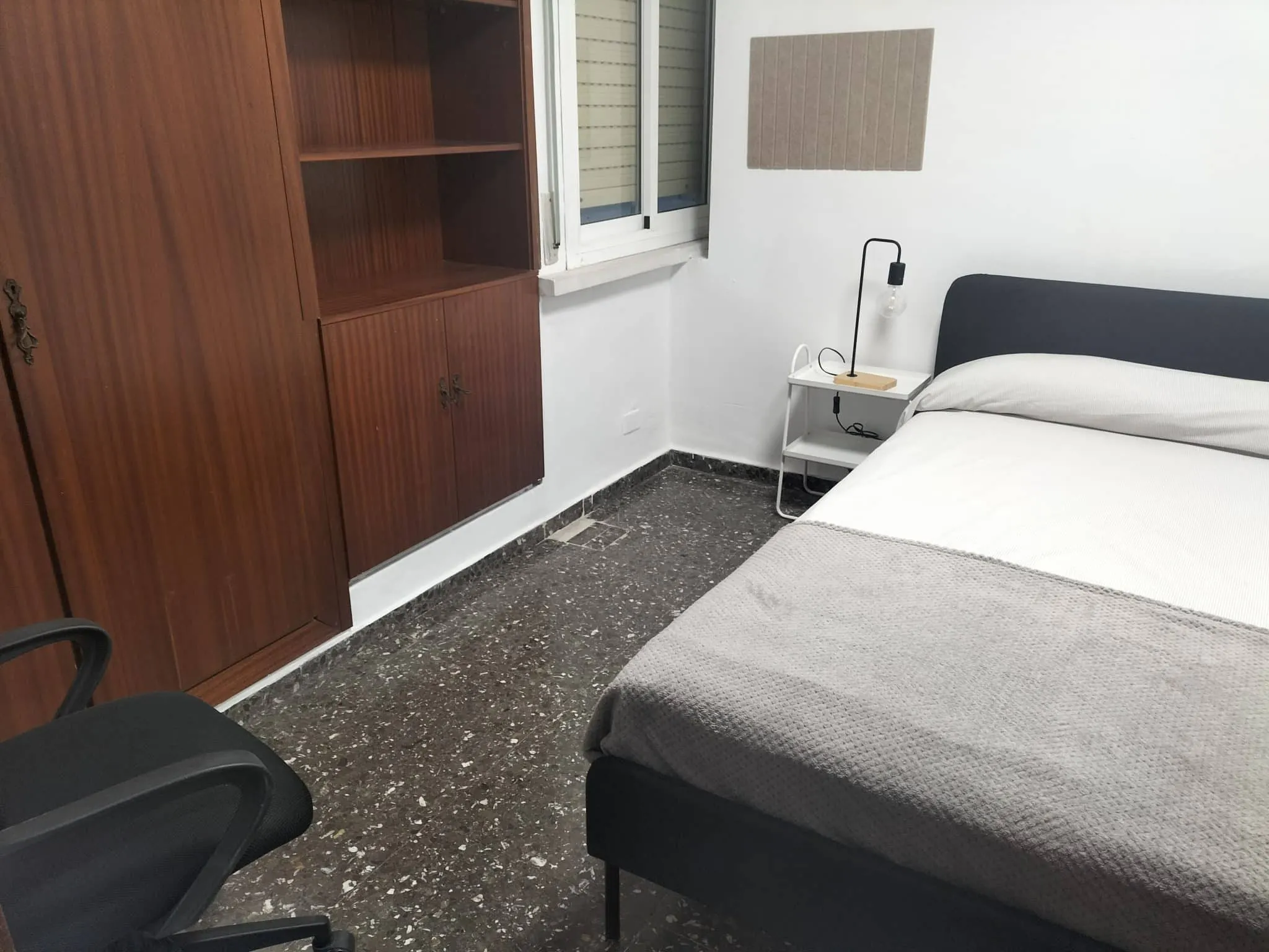 Avinguda de Blasco Ibáñez, Valencia preview