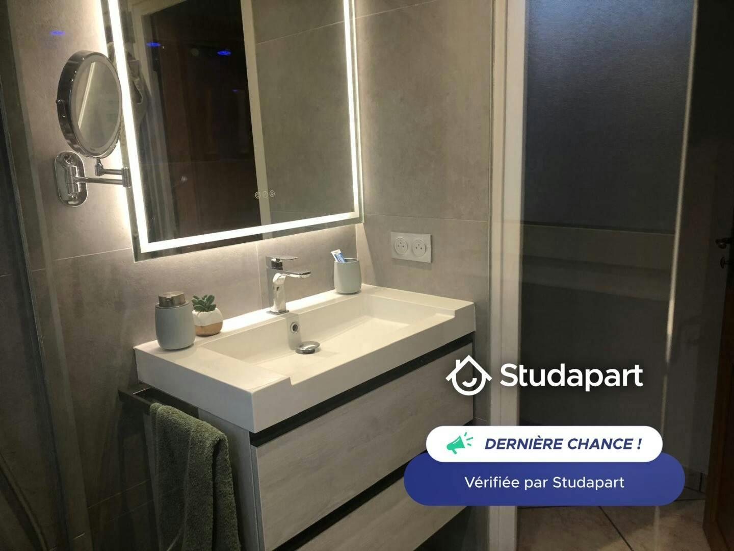 Appartamento in affitto a 1500 € al mese a Annecy, Rue Henry Bordeaux