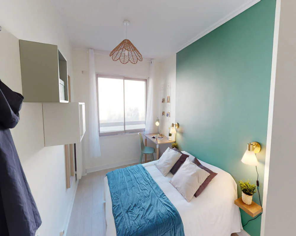 Private room in Rue Boissonade, Paris (1681285) ROOM