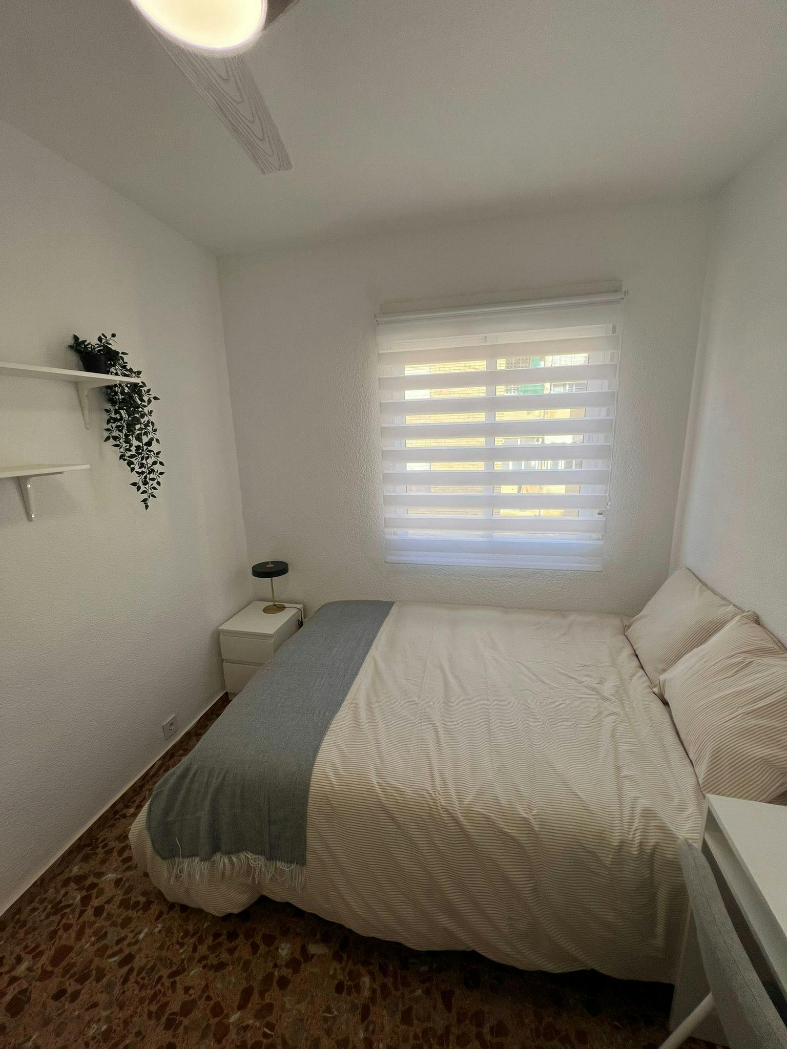 Single room Alicante, 1 bed, 7m² — photo 2