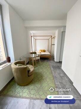 Apartment for rent on Avenue Roger Salengro, Villeurbanne