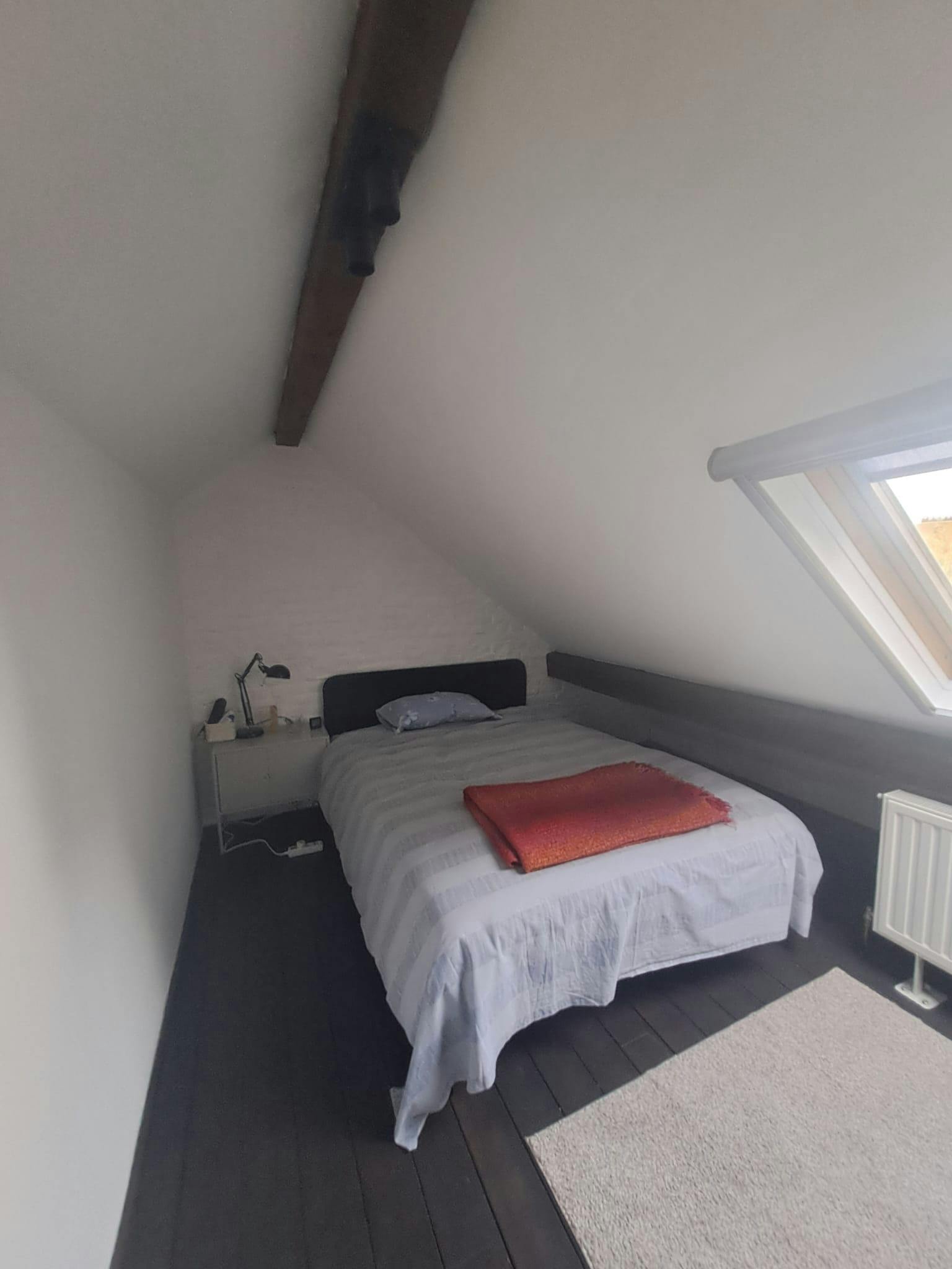 Rue T'Kint, Brussels preview