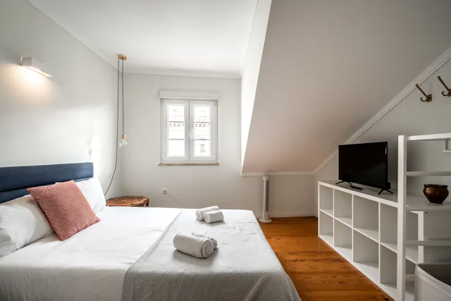 1-Bedroom Apartment in Rua de Santo Estêvão, Lisbon (1682480) room image 1